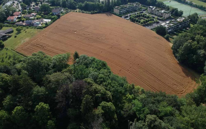LA COLLINE