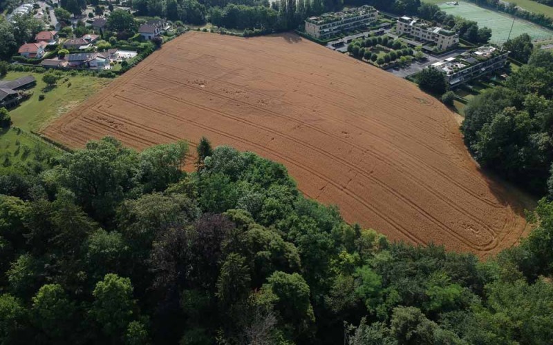 LA COLLINE