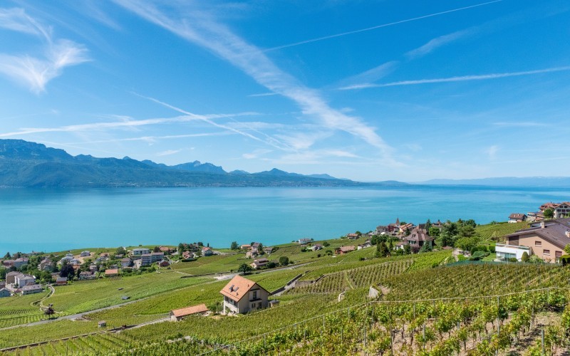 Realitim : Une 1ère SCmPC en phase de liquidation